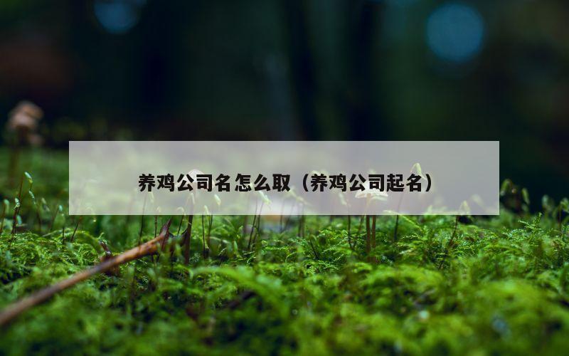 养鸡公司名怎么取（养鸡公司起名）