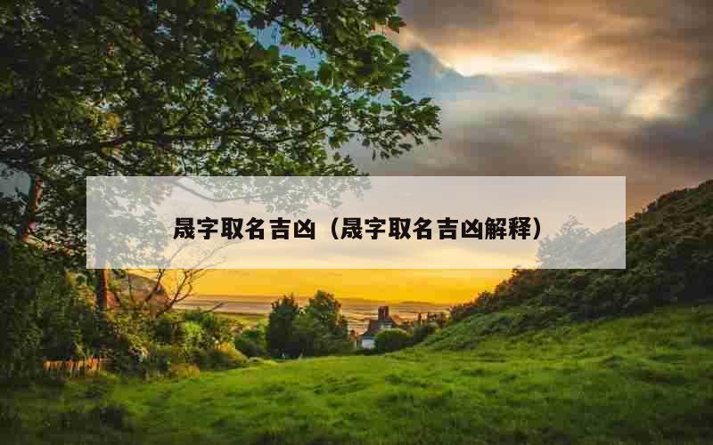 晟字取名吉凶（晟字取名吉凶解释）