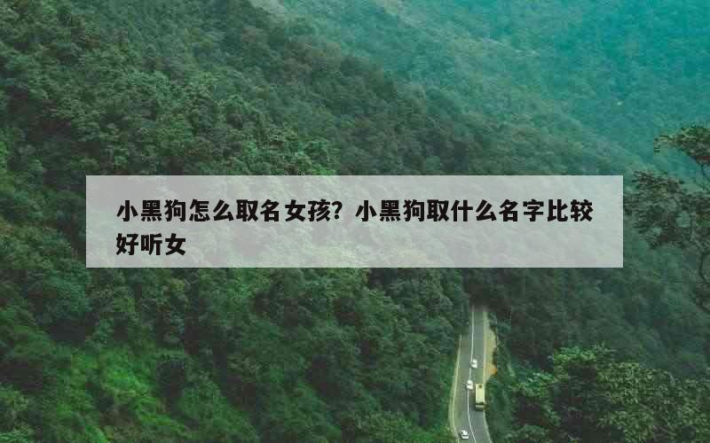 小黑狗怎么取名女孩？小黑狗取什么名字比较好听女