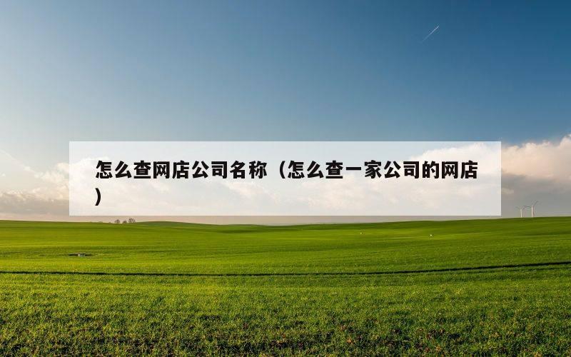 怎么查网店公司名称（怎么查一家公司的网店）