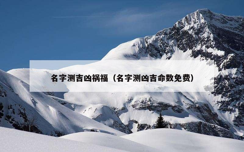 名字测吉凶祸福（名字测凶吉命数免费）
