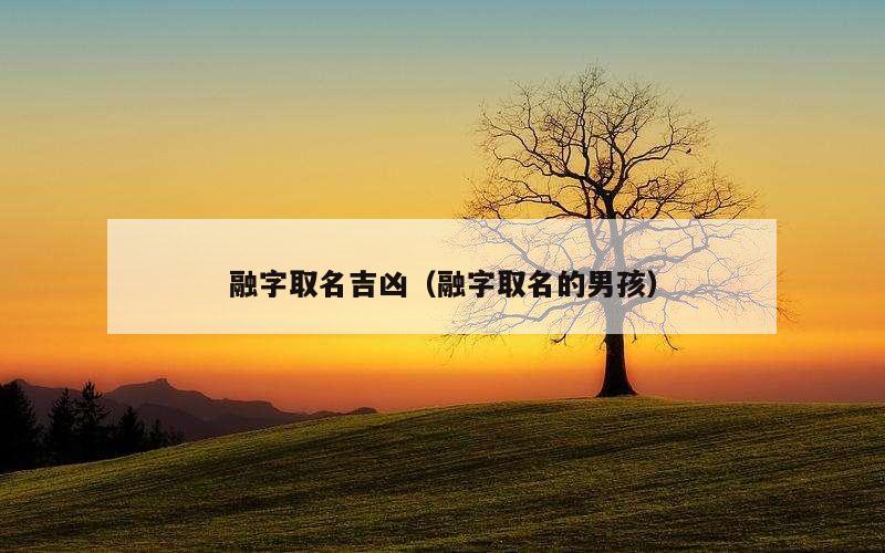 融字取名吉凶（融字取名的男孩）