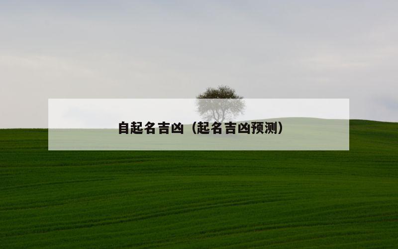 自起名吉凶（起名吉凶预测）