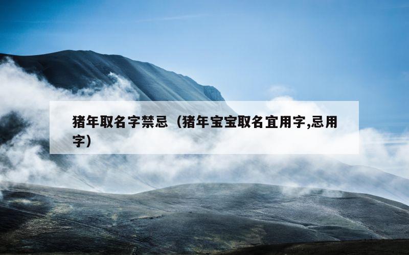 猪年取名字禁忌（猪年宝宝取名宜用字,忌用字）