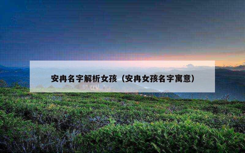 安冉名字解析女孩（安冉女孩名字寓意）