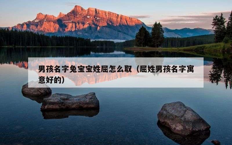 男孩名字兔宝宝姓屈怎么取（屈姓男孩名字寓意好的）
