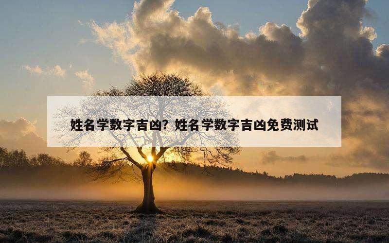 姓名学数字吉凶？姓名学数字吉凶免费测试