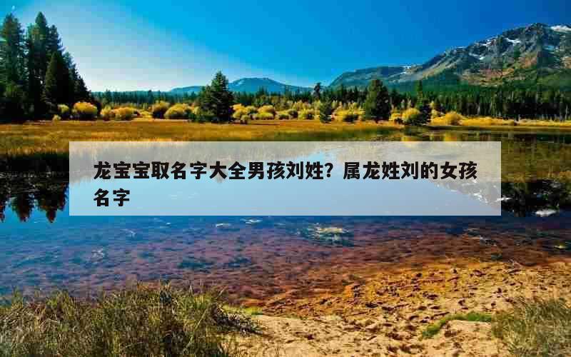 龙宝宝取名字大全男孩刘姓？属龙姓刘的女孩名字