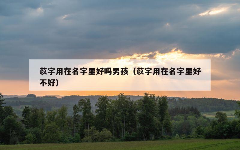 苡字用在名字里好吗男孩（苡字用在名字里好不好）