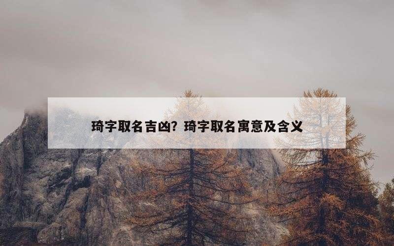 琦字取名吉凶？琦字取名寓意及含义