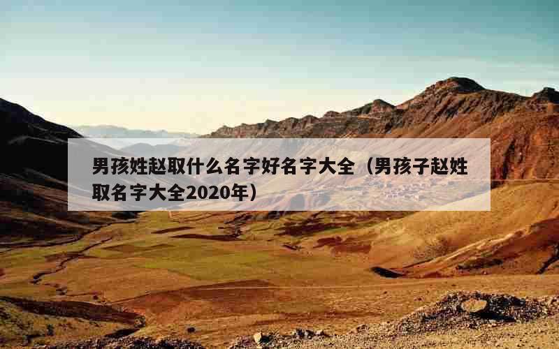 男孩姓赵取什么名字好名字大全（男孩子赵姓取名字大全2020年）
