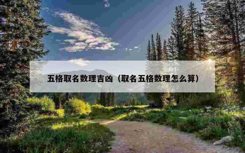 五格取名数理吉凶（取名五格数理怎么算）