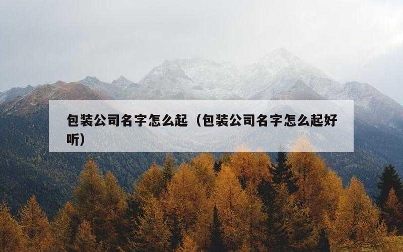 包装公司名字怎么起（包装公司名字怎么起好听）