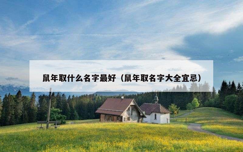 鼠年取什么名字最好（鼠年取名字大全宜忌）