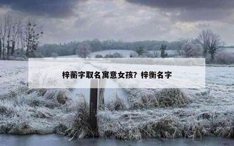 梓蘅字取名寓意女孩？梓衡名字