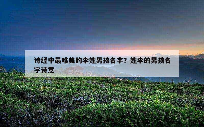 诗经中最唯美的李姓男孩名字？姓李的男孩名字诗意