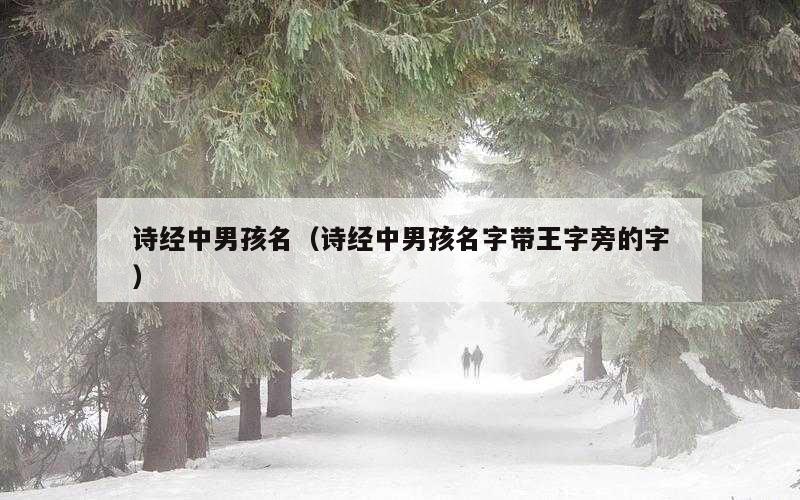诗经中男孩名（诗经中男孩名字带王字旁的字）
