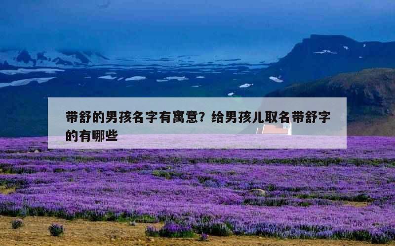 带舒的男孩名字有寓意？给男孩儿取名带舒字的有哪些