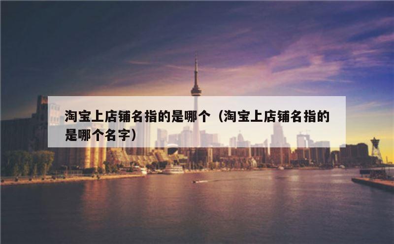 淘宝上店铺名指的是哪个（淘宝上店铺名指的是哪个名字）