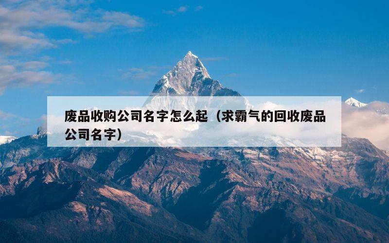 废品收购公司名字怎么起（求霸气的回收废品公司名字）