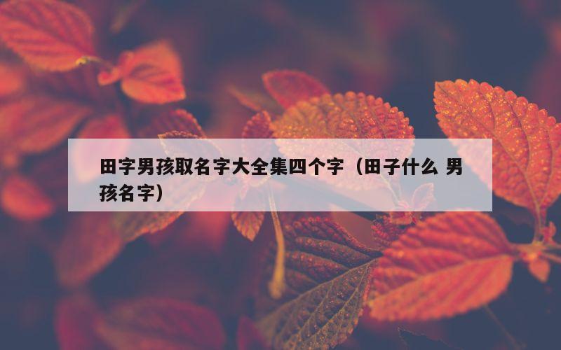 田字男孩取名字大全集四个字（田子什么 男孩名字）