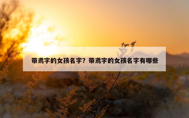 带鸢字的女孩名字？带鸢字的女孩名字有哪些