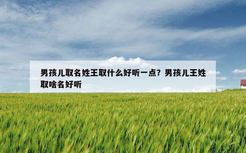男孩儿取名姓王取什么好听一点？男孩儿王姓取啥名好听