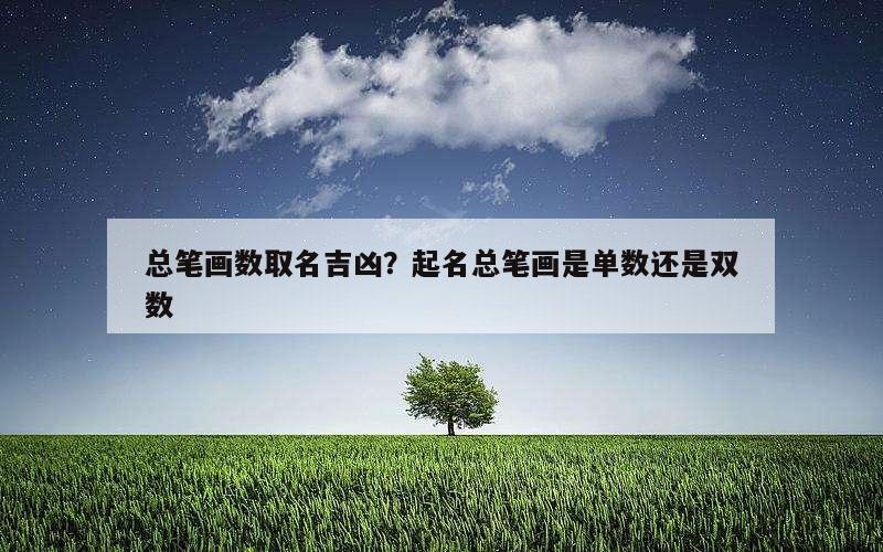 总笔画数取名吉凶？起名总笔画是单数还是双数