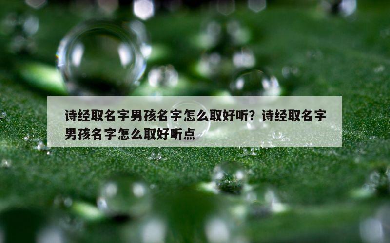 诗经取名字男孩名字怎么取好听？诗经取名字男孩名字怎么取好听点
