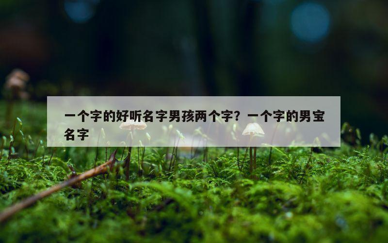 一个字的好听名字男孩两个字？一个字的男宝名字