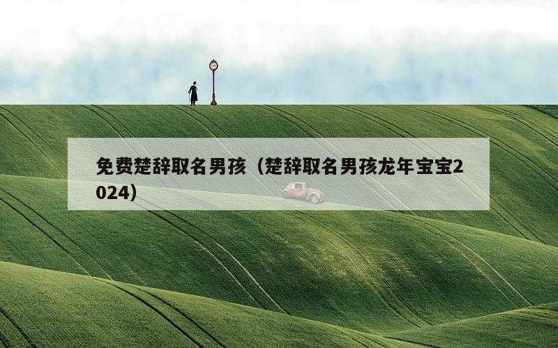 免费楚辞取名男孩（楚辞取名男孩龙年宝宝2024）