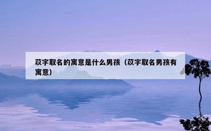 苡字取名的寓意是什么男孩（苡字取名男孩有寓意）