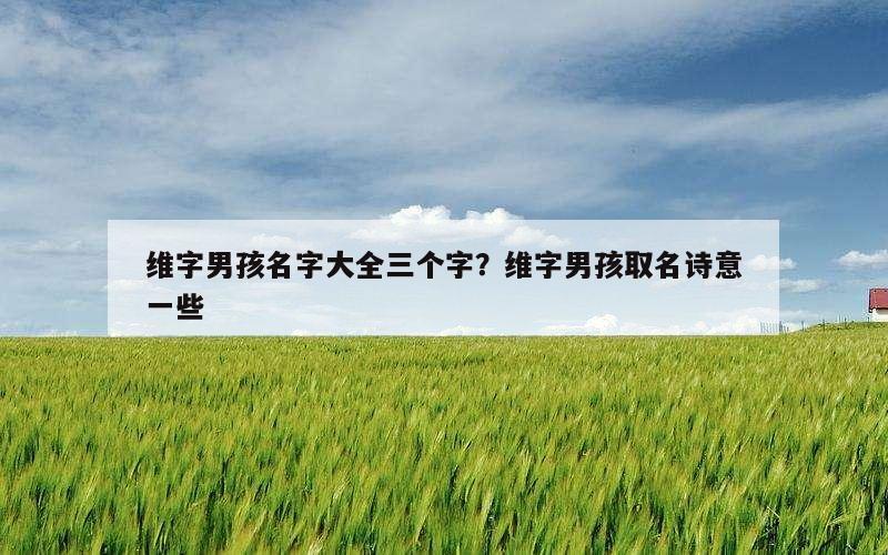 维字男孩名字大全三个字？维字男孩取名诗意一些