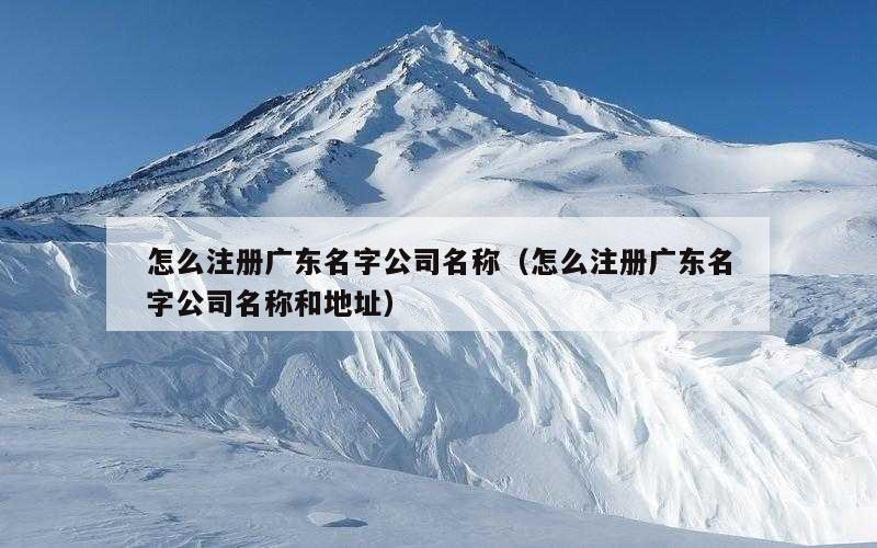 怎么注册广东名字公司名称（怎么注册广东名字公司名称和地址）