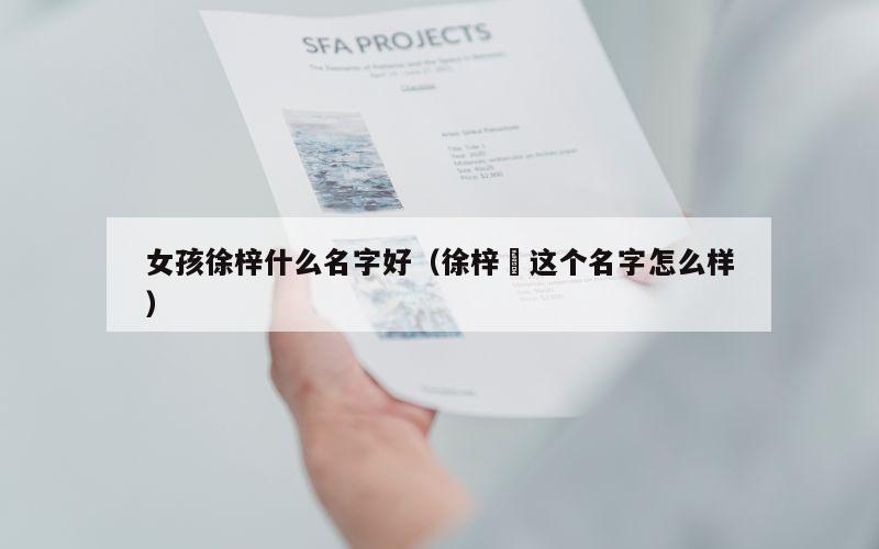 女孩徐梓什么名字好（徐梓垚这个名字怎么样）