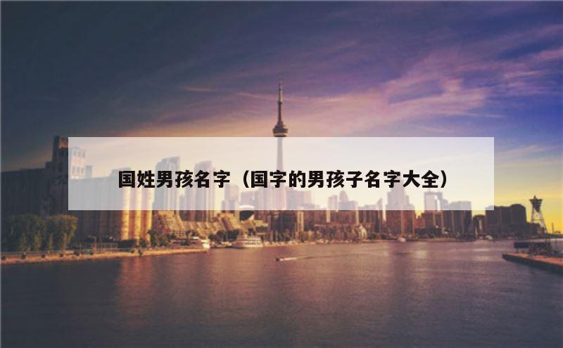 国姓男孩名字（国字的男孩子名字大全）