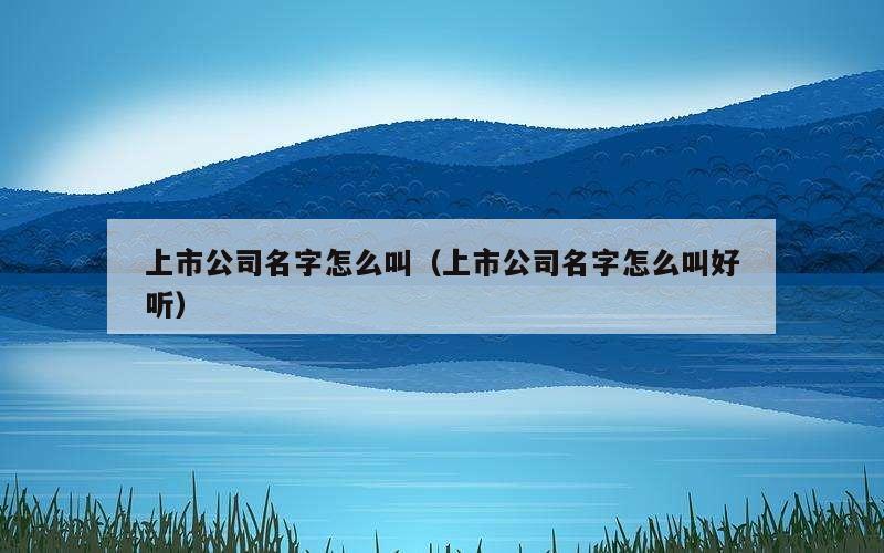 上市公司名字怎么叫（上市公司名字怎么叫好听）