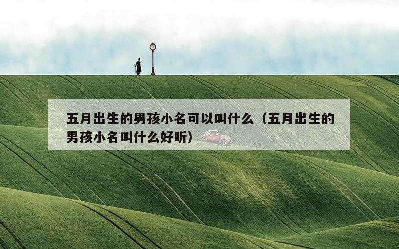 五月出生的男孩小名可以叫什么（五月出生的男孩小名叫什么好听）