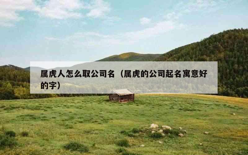 属虎人怎么取公司名（属虎的公司起名寓意好的字）