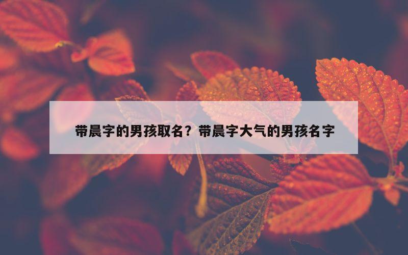 带晨字的男孩取名？带晨字大气的男孩名字
