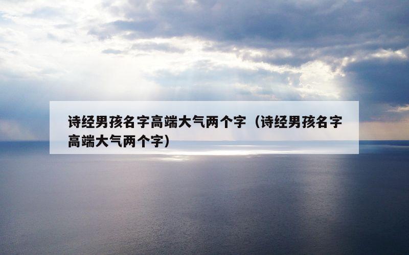 诗经男孩名字高端大气两个字（诗经男孩名字高端大气两个字）