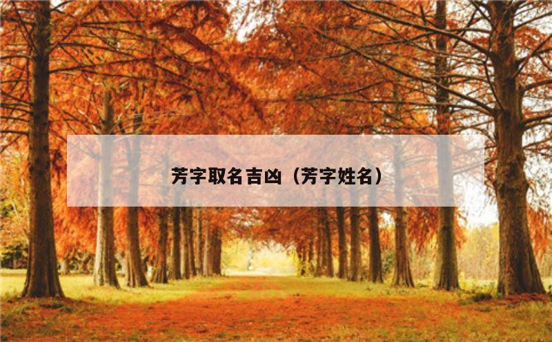 芳字取名吉凶（芳字姓名）