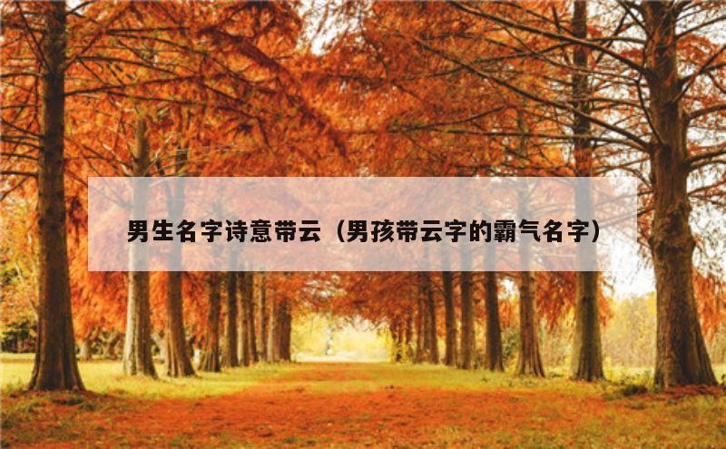 男生名字诗意带云（男孩带云字的霸气名字）