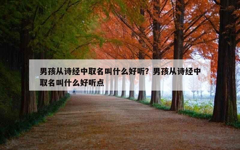 男孩从诗经中取名叫什么好听？男孩从诗经中取名叫什么好听点