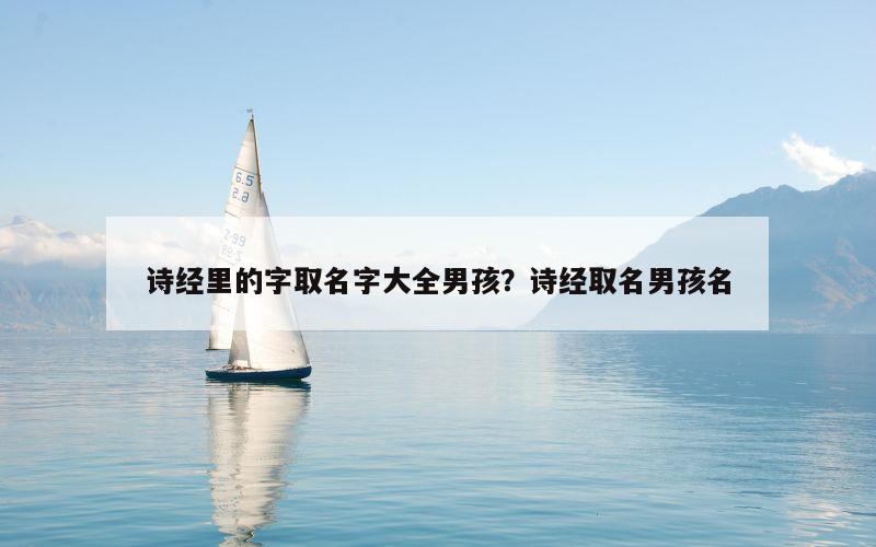 诗经里的字取名字大全男孩？诗经取名男孩名