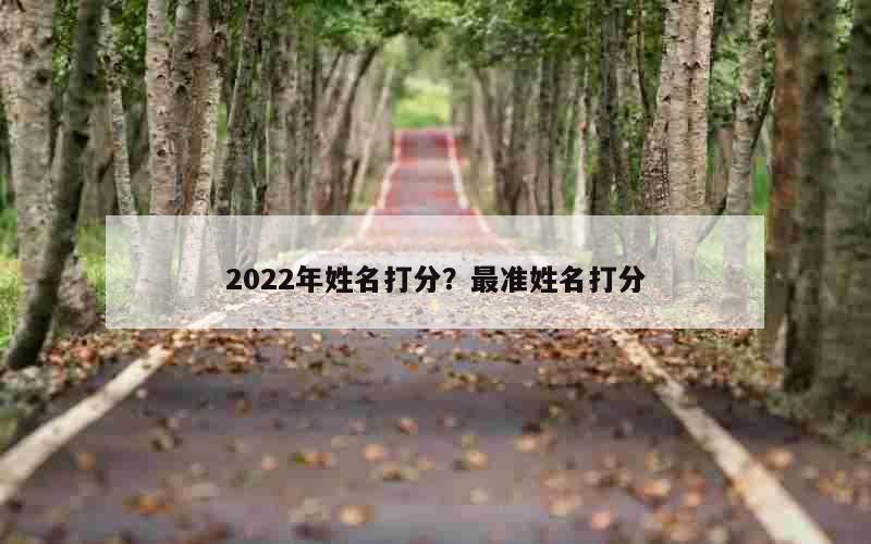 2022年姓名打分？最准姓名打分