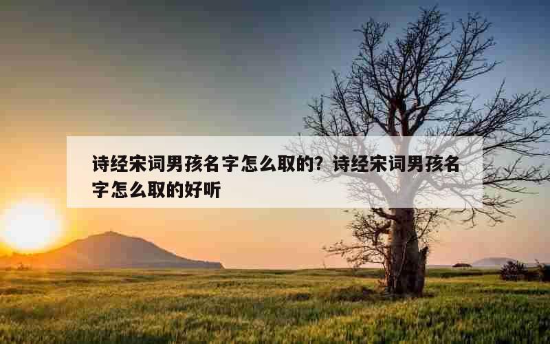 诗经宋词男孩名字怎么取的？诗经宋词男孩名字怎么取的好听