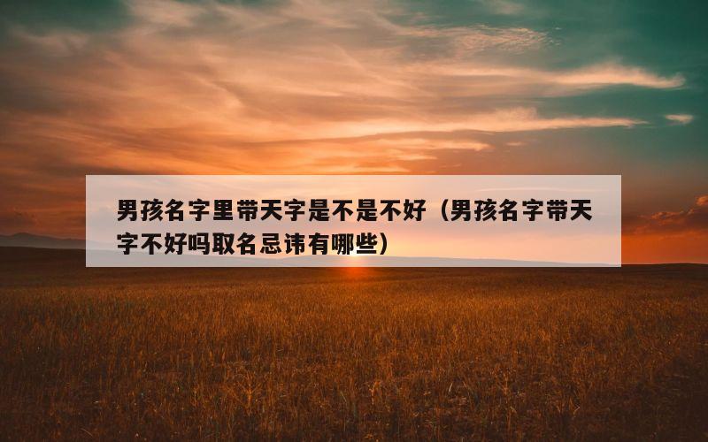 男孩名字里带天字是不是不好（男孩名字带天字不好吗取名忌讳有哪些）