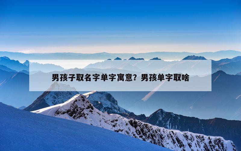男孩子取名字单字寓意？男孩单字取啥