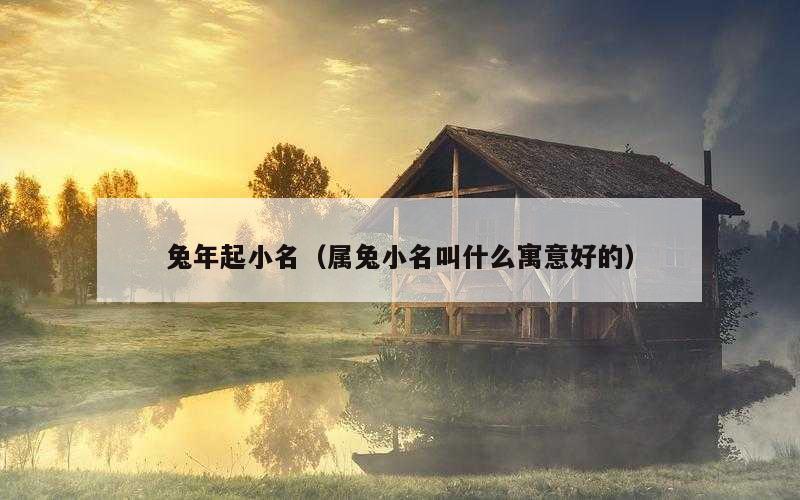 兔年起小名（属兔小名叫什么寓意好的）